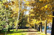 Casa Laghetto Policlinico - Foto 56