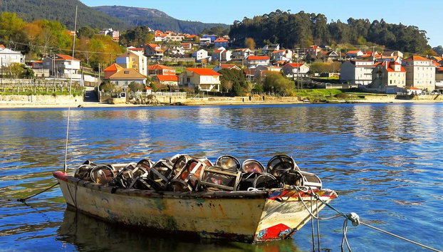Excursión a las Rías Baixas + Visita a una bodega - Foto 3