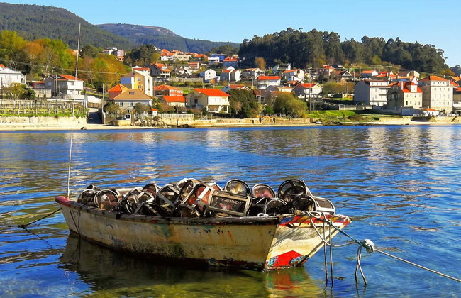Excursión a las Rías Baixas + Visita a una bodega - Foto 3