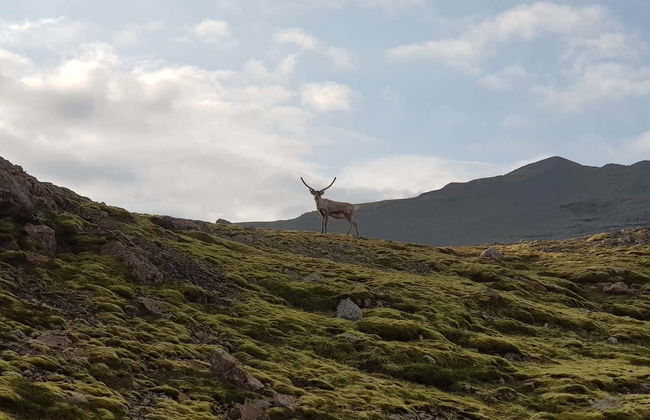 Vatnajökull + Skalafellsjökull Glacier Offroad Tour - Photo 4