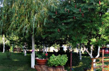 Studio Ivona - Foto 9