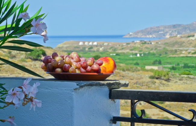 Hotel Naxos Filoxenia - Photo 30