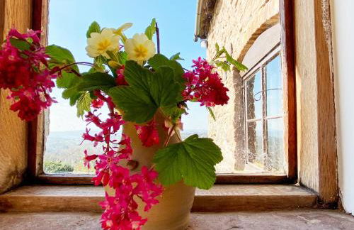 Titchbourne Cottage - Foto 12