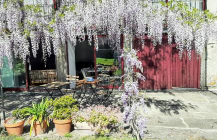 Charming House in Covelas with Shared Pool - Foto 31