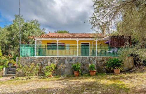 Olive Tree Villa - Photo 21