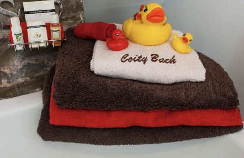 Ty Fferm Hen, Ancient Farmhouse, Coity Bach - Foto 27