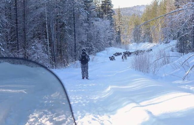 Cozy Stuga With Mountain & Northern Lights View - Photo 12