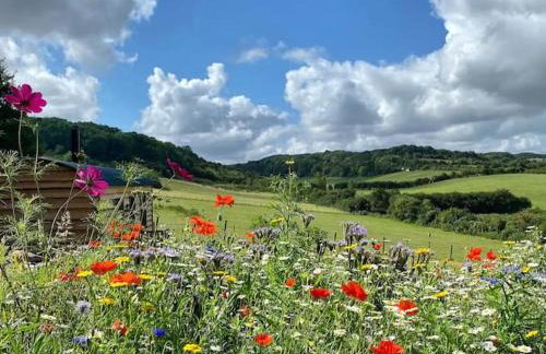 Pilgrims Nap - Photo 18