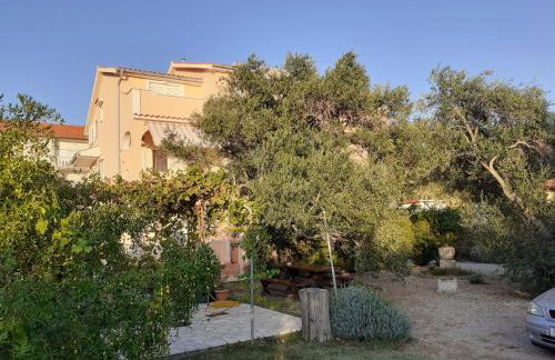 Apartments Marijana - Foto 73