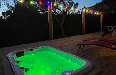 Avignon : Le Mas Cott, le paradis dans la nature - Foto 21