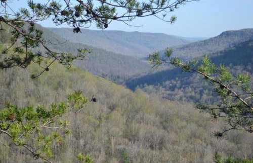 The Bird House near Fall Creek Falls State Park - Foto 59