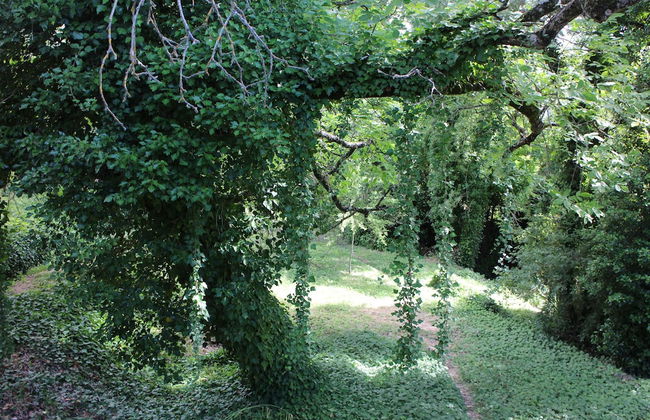 Molinos de Fuenteheridos - Photo 35