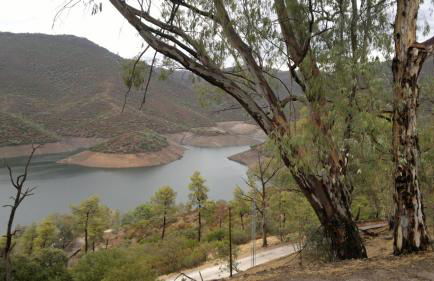 Apartamentos Paraje San Gines - Foto 56