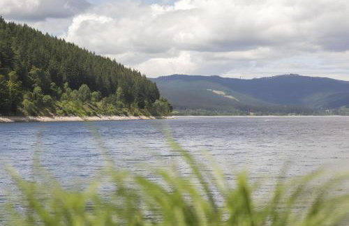 Schwarzwaldglück Loft - Foto 36