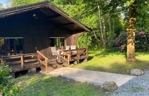 Heidegut Eschede Reitsportanlage und Feriendorf - Foto 53