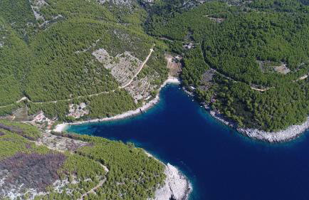 Robinson house Orlandusa - Foto 20