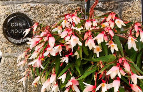 1 Bed in St. Erth oc-c27438 - Foto 18