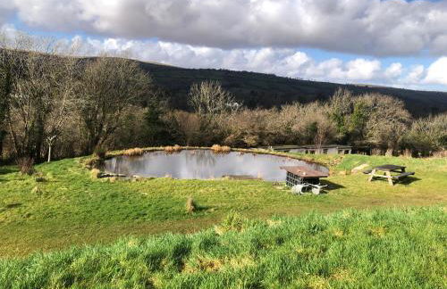 Stags View,Unique eco cabin, Dartmoor views - Foto 14