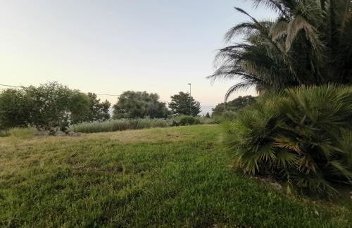 L'oasi nello Zingaro - Foto 42