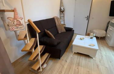 The Little Oak - tiny house with bed on mezzanine & terrace - from 1 to 4 p Disney, Paris & CDG - Foto 41