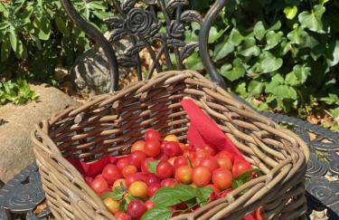 DOLCE VITA IN TUSCANY Cottage - Foto 28