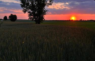 U Progu Lasu - Foto 6