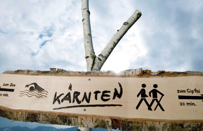 Holiday Home in Liebenfels in Carinthia With Sauna - Foto 23