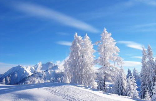 Chalet Tobià Villa - Foto 35