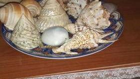 CASA FIORITA - Foto 3