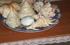 CASA FIORITA - Foto 3