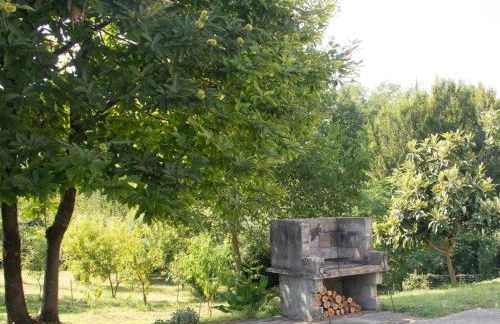 Al frutteto - Foto 31