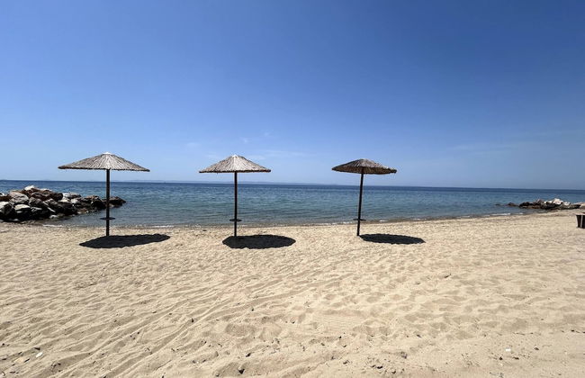 Private Garden Oasis in Nikiti, Greece - Your Dream Vacation Awaits - Foto 21