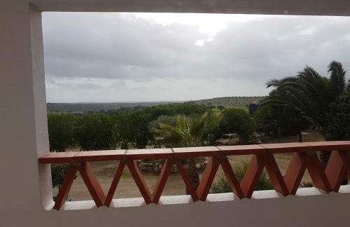 Monte das Galhanas - Foto 43