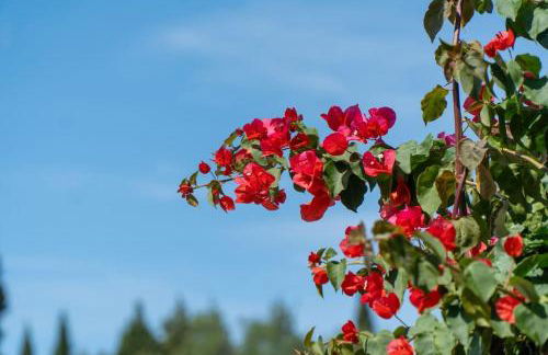 Ocean View Oasis - Palaiokastritsa - Foto 39