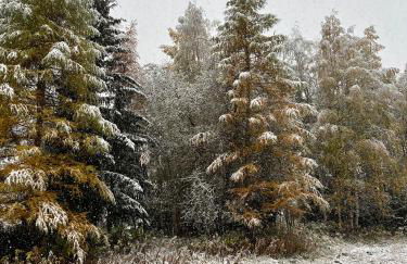 La Maison del Ru - CIR VDA GIGNOD 0037 - Foto 29