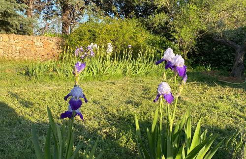 Villa Faro Provence Var - Foto 60