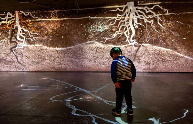 Entrada al museo enológico Pressoria + Cata de champán - Foto 12