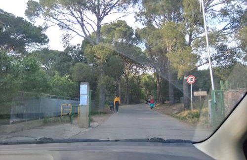 Luminoso Appartamento con Terrazza......C.U......Q2483 - Foto 14