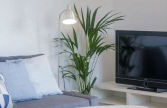 Alethea's Sea View Apartment - Foto 20