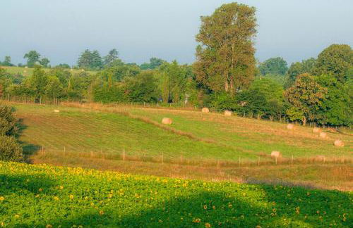 Les Maisons du Golf d'Armagnac - Photo 17