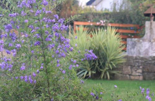 Casa dos meus avós -Villas - Gaia & Porto - Foto 30