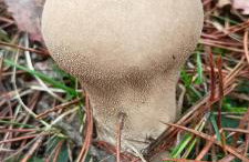 Kłodnia 1 - Foto 54