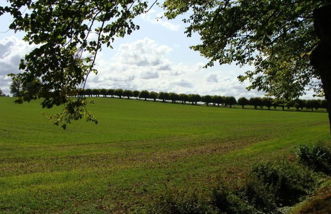 Stilvolle Wohnung mit Garten in Kluetz - Foto 33