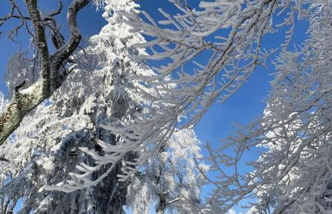 Apartment mit Wintergarten und Terrasse in ruhiger Lage im schönen Taunus - Foto 46