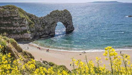 Nightjar Cabin at Cloudshill Glade - Foto 4