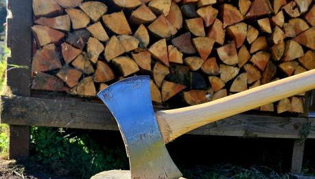 Farmhouse Cabin in the Redwoods - Foto 3