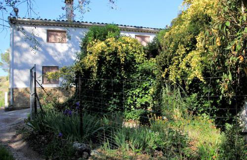 Mesoncillo NEO - Foto 35