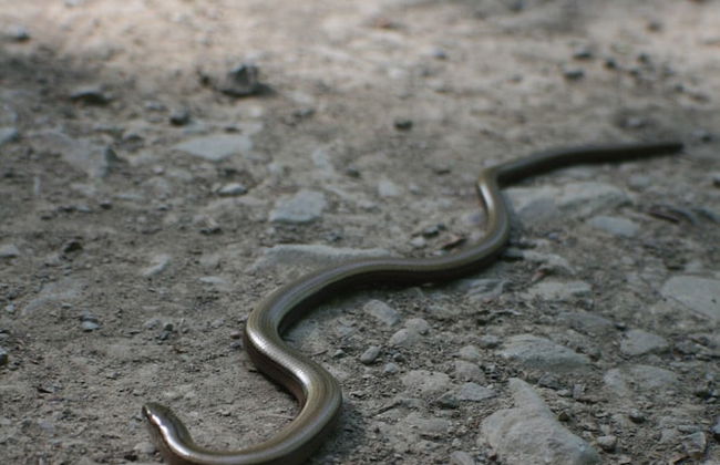 Living in the old Granary - Foto 32