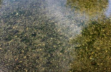 Casa do Judas - Foto 34