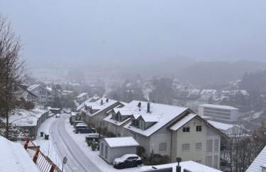 A&D Ferienwohnung Elsasser Blick - Bühlertal bei Bühl, Baden-Baden & Schwarzwald - Foto 24